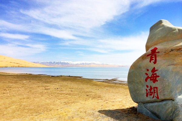 青海一制药公司1台4吨燃气蒸汽锅炉
