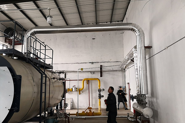 吉林通辽一农产品加工厂用4吨燃气蒸汽锅炉项目