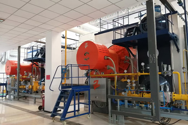 天津一供热站用5.6MW燃气热水锅炉项目