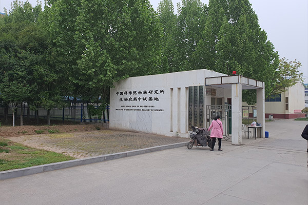 河南济源一制药厂用8吨燃气蒸汽锅炉项目