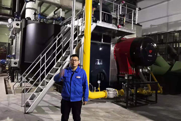 河南辉县一造纸厂用6吨燃气蒸汽锅炉项目